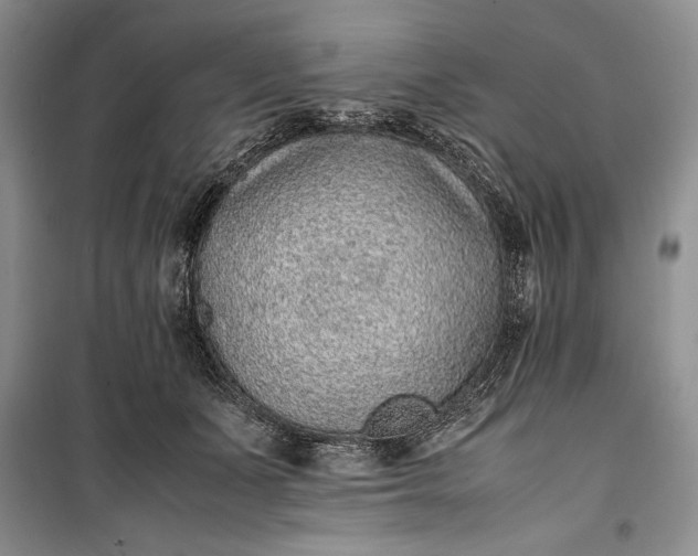 X0000100190511200806131210