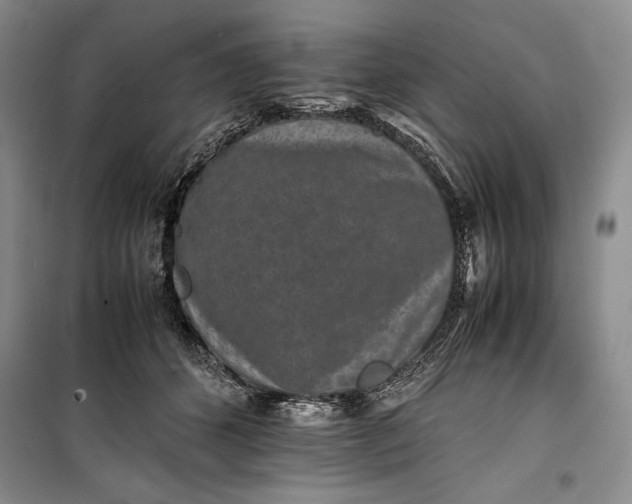 X0000100190512200806131210