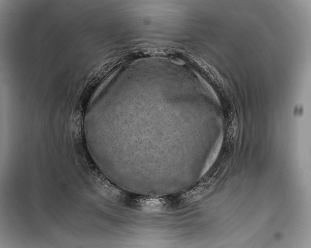 X0000100190513200806131210