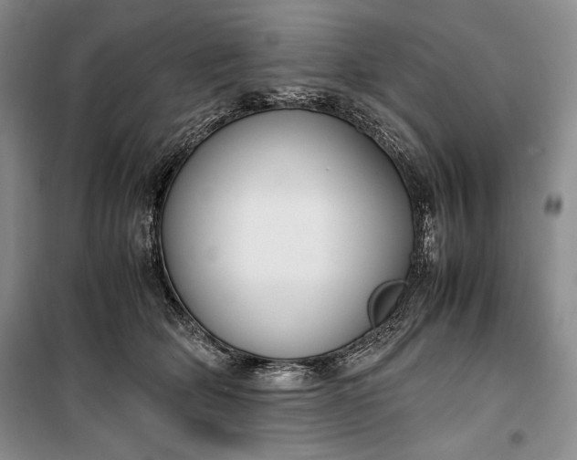 X0000100190514200806131210