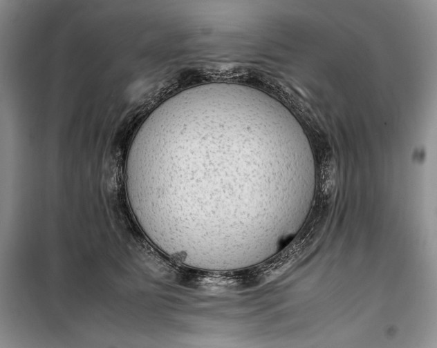 X0000100190515200806131210