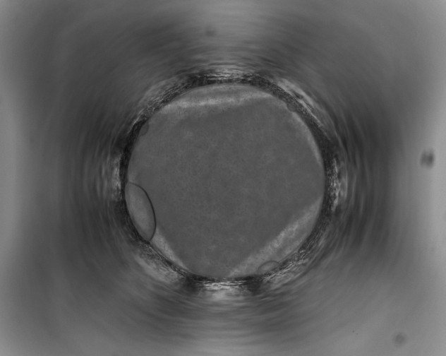 X0000100190516200806131210