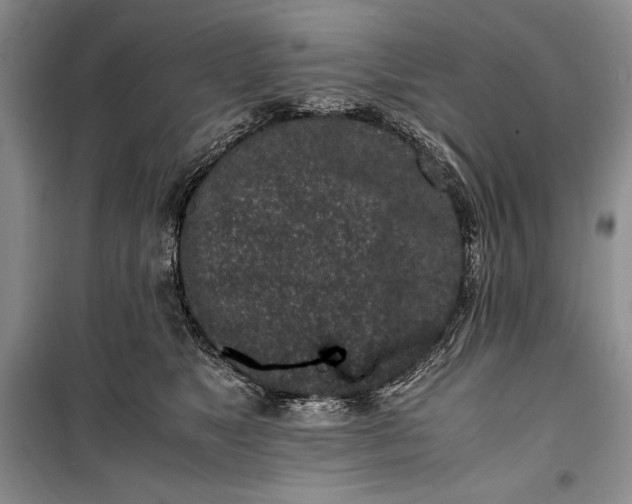 X0000100190517200806131210