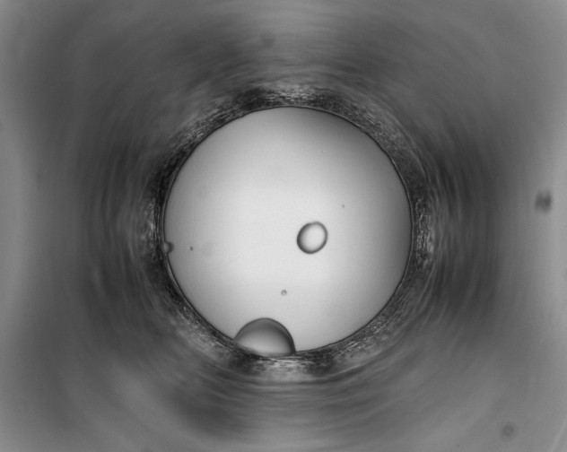 X0000100190518200806131210