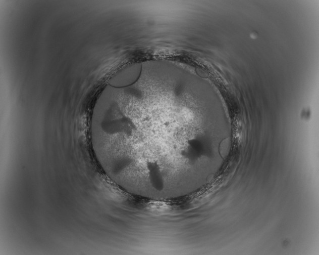 X0000100190519200806131210