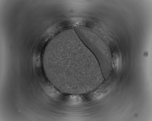 X0000100190520200806131210