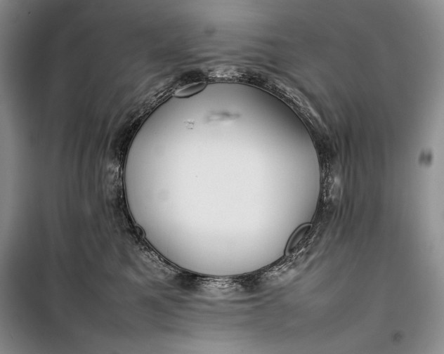 X0000100190521200806131210