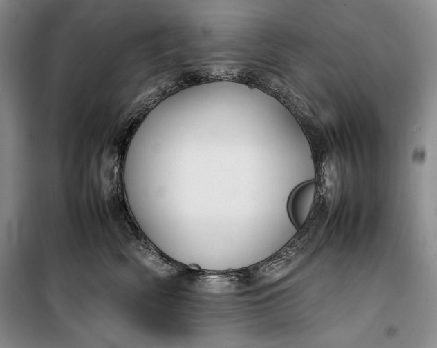 X0000100190522200806131210