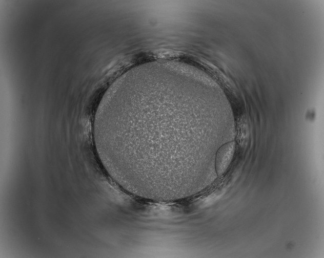 X0000100190523200806131210