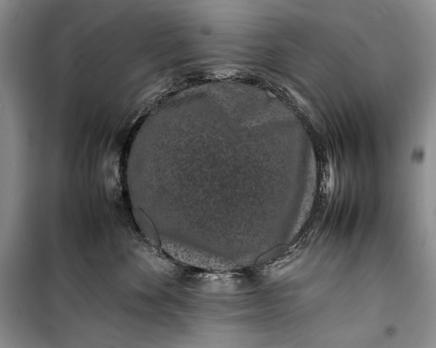 X0000100190524200806131210