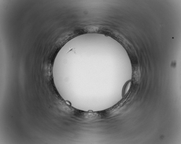 X0000100190525200806131210