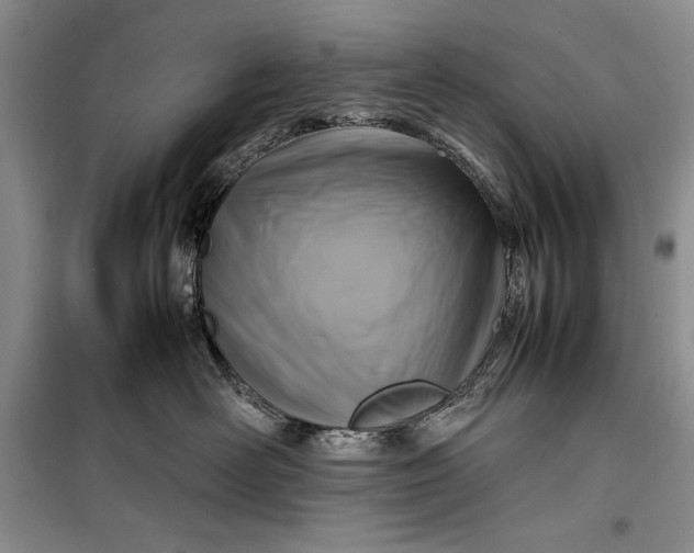 X0000100190526200806131210