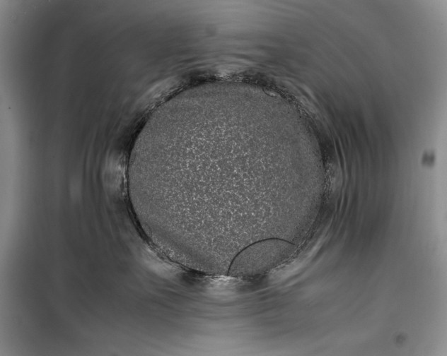 X0000100190527200806131210