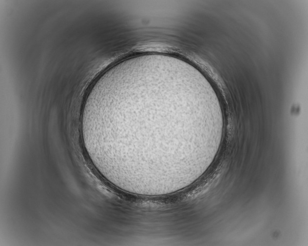 X0000100190529200806131210