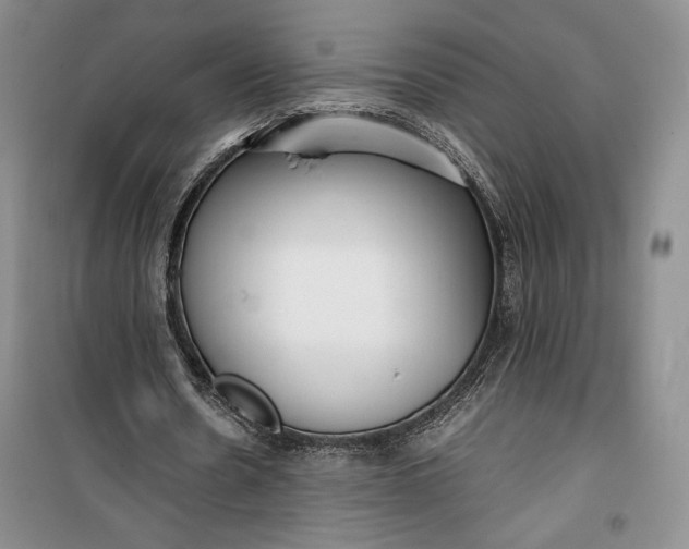 X0000100190530200806131210