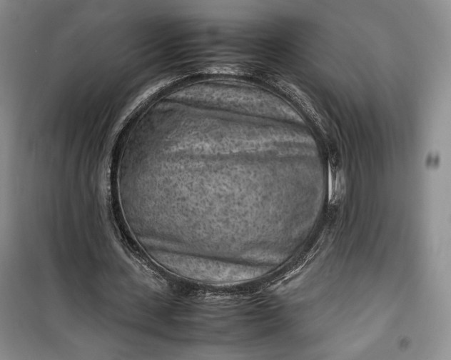 X0000100190531200806131210