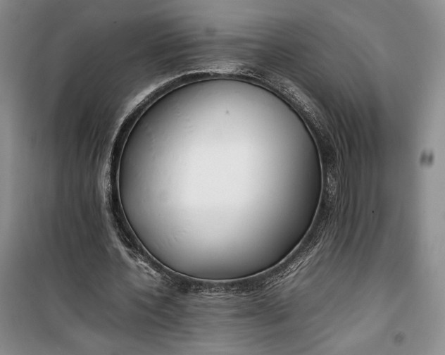 X0000100190532200806131210