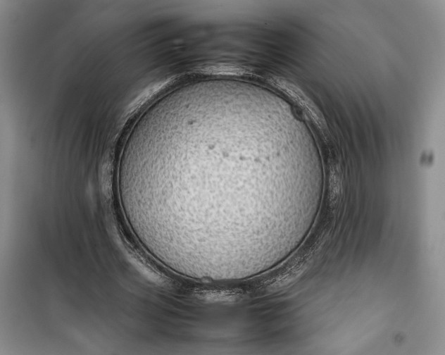 X0000100190533200806131210