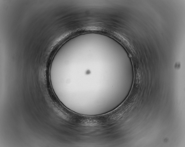 X0000100190535200806131210