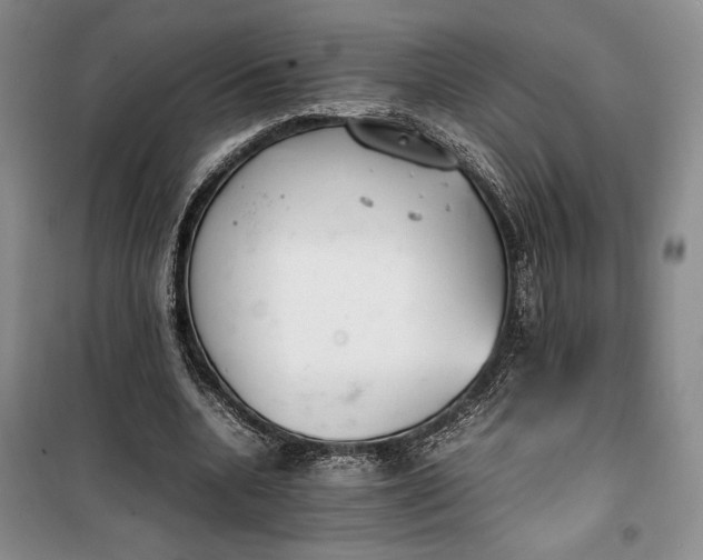 X0000100190536200806131210