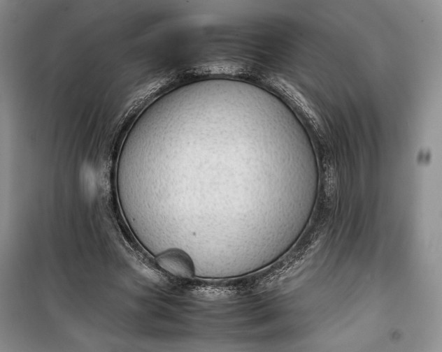 X0000100190537200806131210