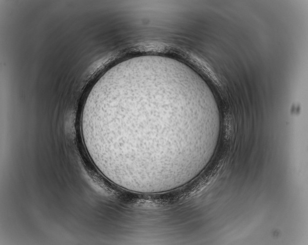 X0000100190538200806131210