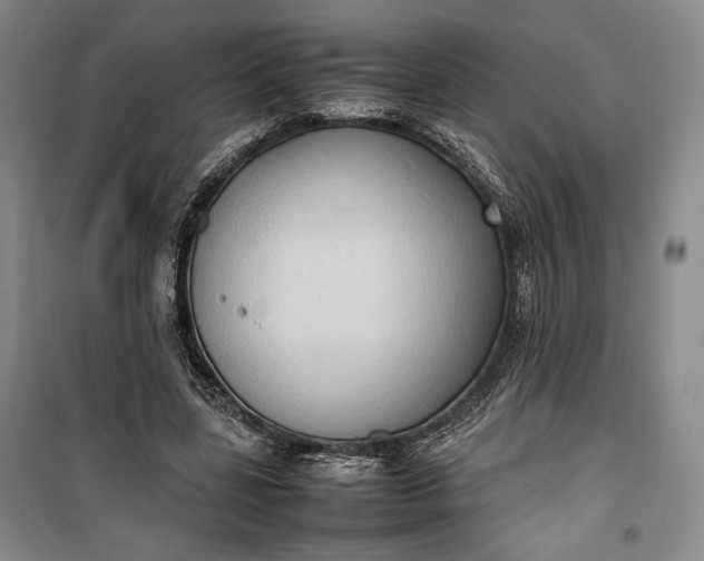 X0000100190539200806131210