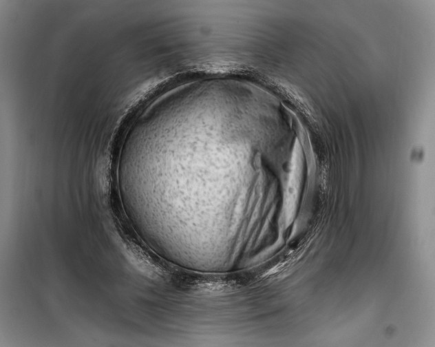 X0000100190540200806131210