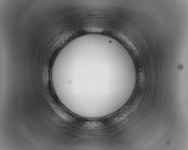 X0000100190541200806131210