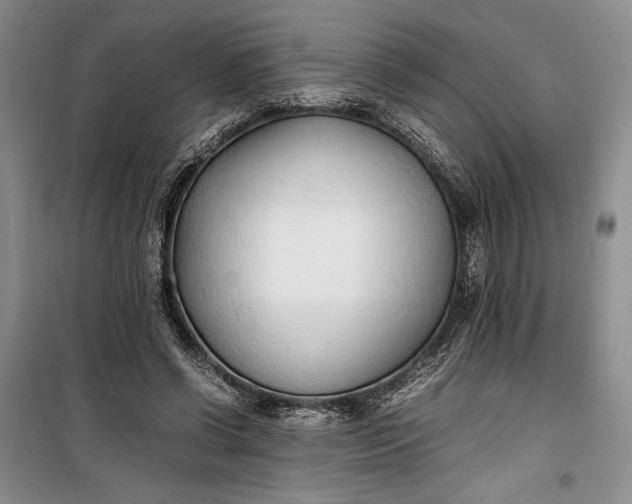 X0000100190542200806131210