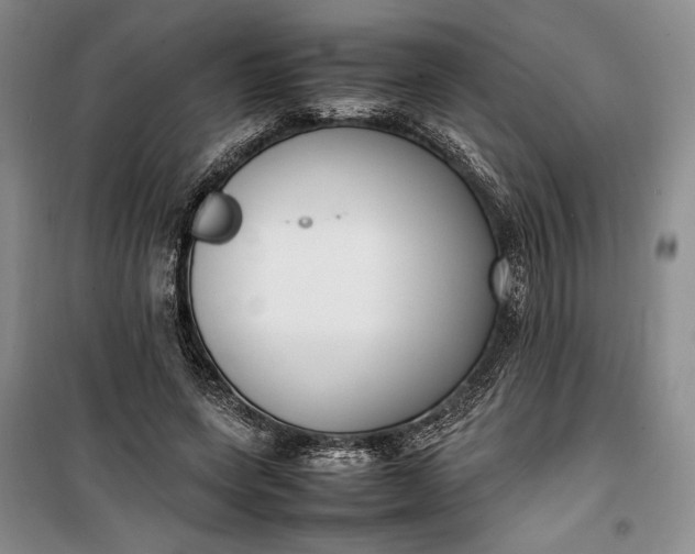 X0000100190543200806131210