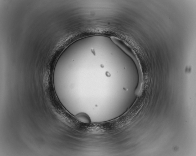 X0000100190544200806131210