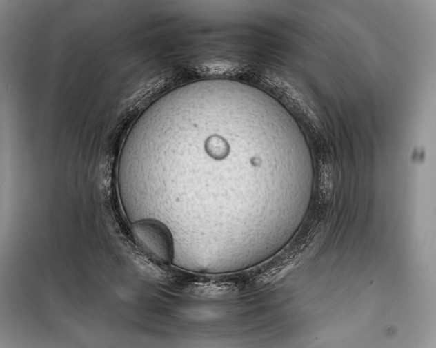 X0000100190545200806131210