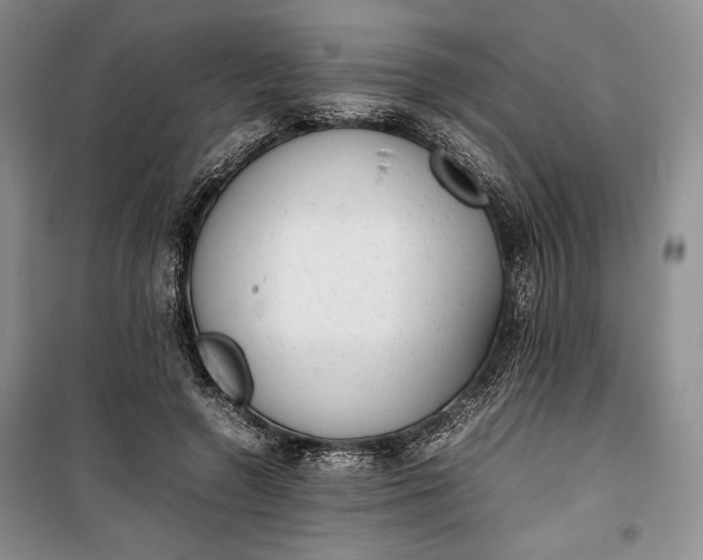 X0000100190546200806131210