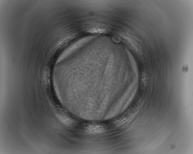 X0000100190547200806131210