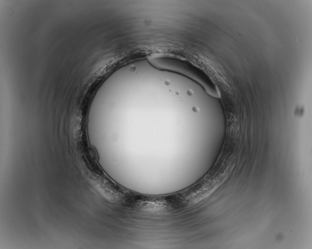 X0000100190548200806131210