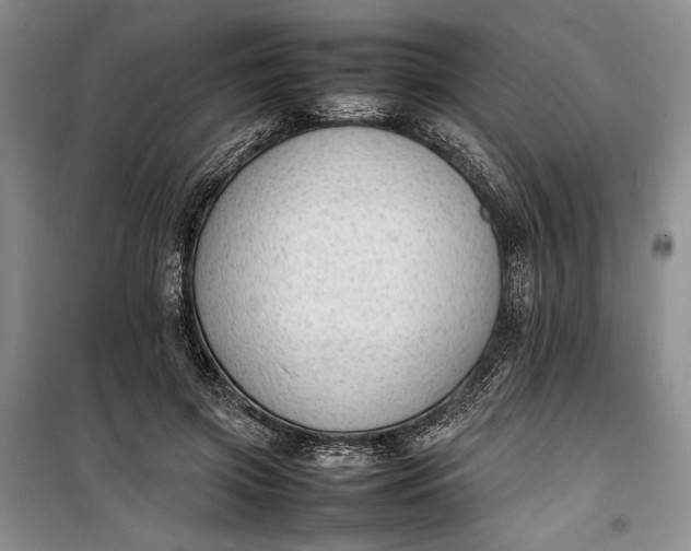 X0000100190549200806131210