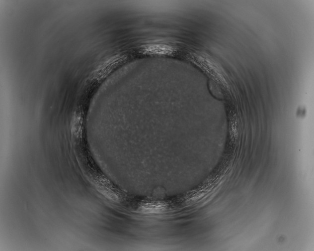 X0000100190551200806131210