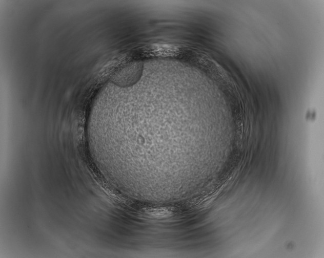 X0000100190553200806131210