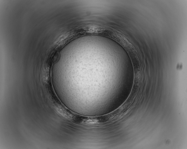 X0000100190554200806131210