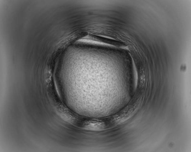 X0000100190555200806131210