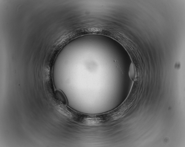 X0000100190556200806131210