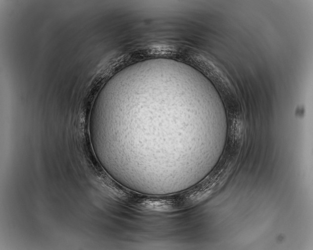 X0000100190557200806131210