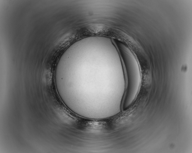 X0000100190558200806131210