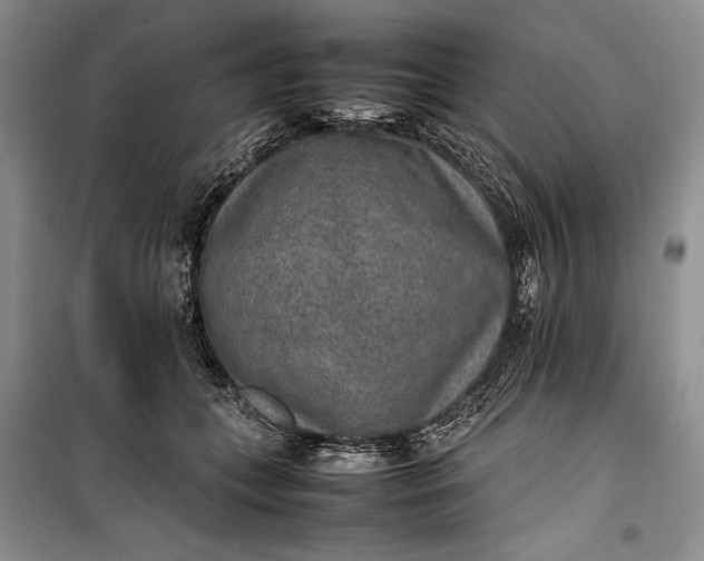 X0000100190559200806131210