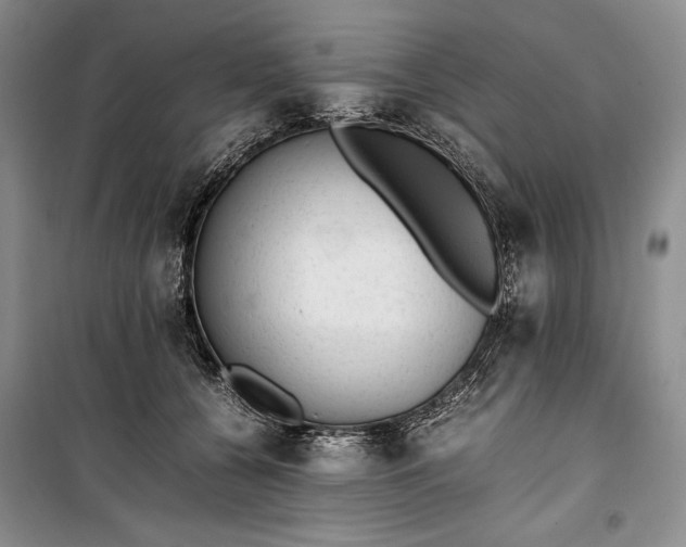 X0000100190560200806131210