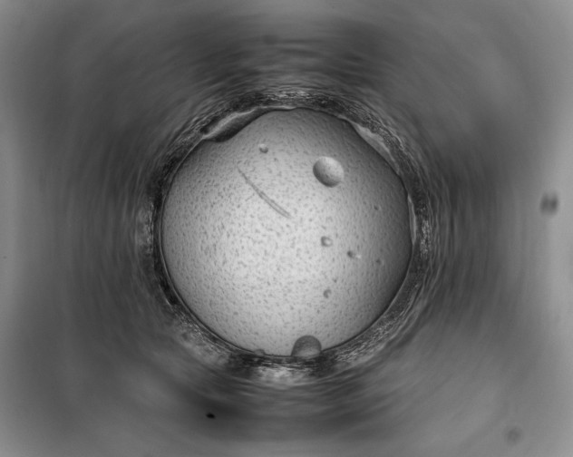 X0000100190561200806131210