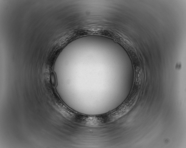 X0000100190562200806131210