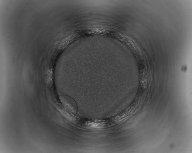 X0000100190563200806131210