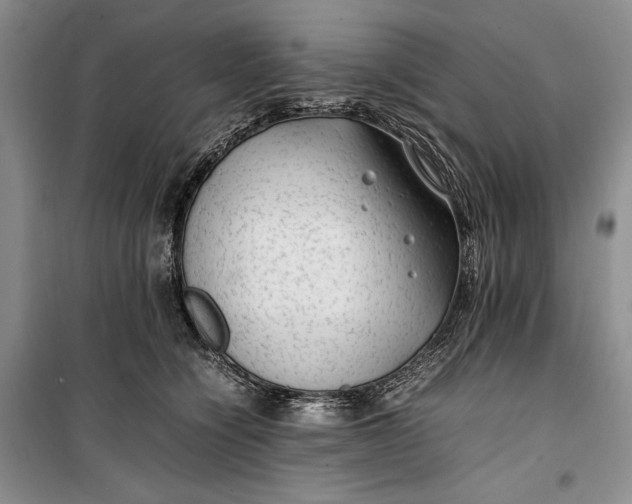 X0000100190564200806131210